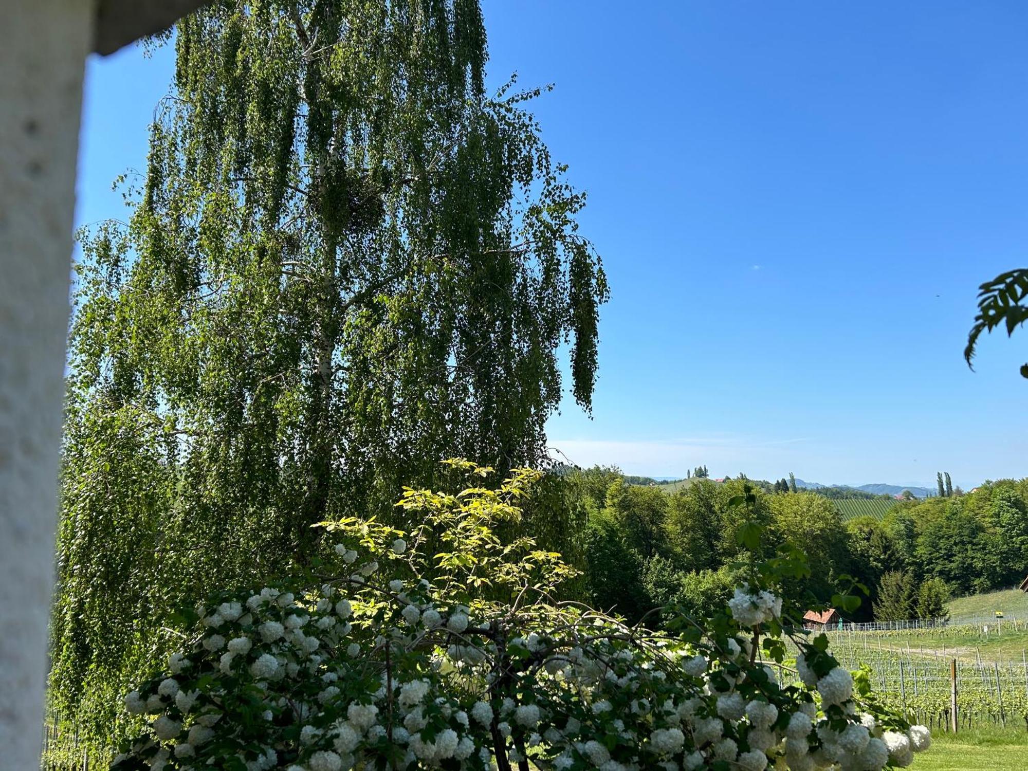Haus-Eckberg 101 Hotell Gamlitz Eksteriør bilde